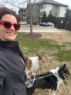 Your pet's new best friend