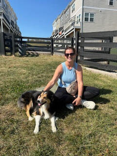 Your pet's new best friend